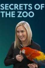 Watch Secrets of the Zoo Megavideo