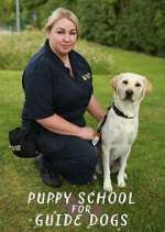 Watch Puppy School for Guide Dogs Megavideo
