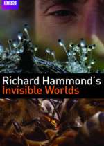 Watch Richard Hammond's Invisible Worlds Megavideo