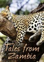 Watch Tales from Zambia Megavideo