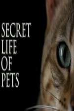 Watch The Secret Life of Pets Megavideo