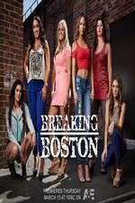 Watch Breaking Boston Megavideo