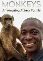 Watch Monkeys: An Amazing Animal Family Megavideo