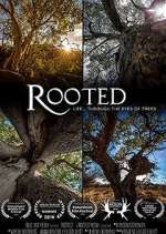 Watch Rooted Megavideo