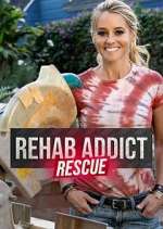 Watch Rehab Addict Rescue Megavideo