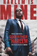 Watch Godfather of Harlem Megavideo