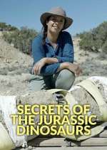 Watch Secrets of the Jurassic Dinosaurs Megavideo