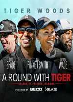 Watch A Round with Tiger Megavideo