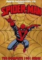 Watch Spider-Man Megavideo