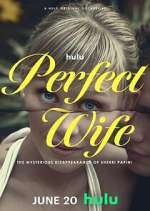 Watch Perfect Wife: The Mysterious Disappearance of Sherri Papini Megavideo