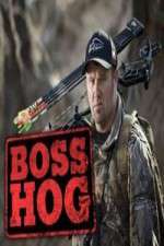 Watch Boss Hog Megavideo