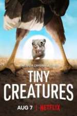 Watch Tiny Creatures Megavideo
