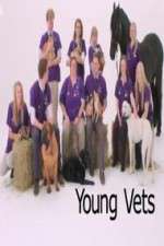 Watch Young Vets Megavideo