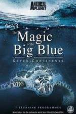 Watch The Magic of the Big Blue Megavideo