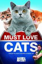 Watch Must Love Cats Megavideo