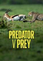 Watch Predator v Prey Megavideo