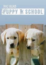 Watch Dog Squad: Puppy School Megavideo