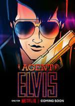 Watch Agent Elvis Megavideo
