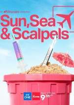Watch Sun, Sea and Scalpels Megavideo
