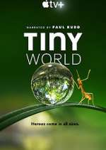 Watch Tiny World Megavideo