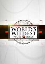 Watch World's Wildest Police Videos Megavideo