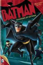 Watch Beware the Batman: Shadows of Gotham Megavideo