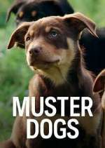 Watch Muster Dogs Megavideo