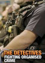 Watch The Detectives: Fighting Organised Crime Megavideo