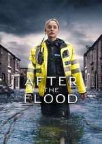 Watch After the Flood Megavideo