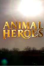 Watch Animal Heroes Megavideo