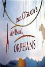 Watch Paul O'Grady's Animal Orphans Megavideo