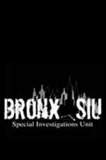 Watch Bronx SIU Megavideo