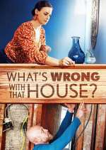 Watch What's Wrong With That House? Megavideo