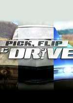 Watch Pick, Flip & Drive Megavideo