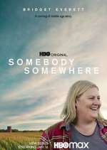 Watch Somebody Somewhere Megavideo