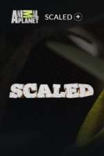 Watch Scaled Megavideo