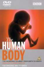 Watch The Human Body Megavideo
