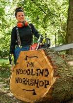 Watch The Woodland Workshop Megavideo