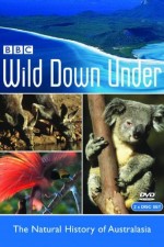 Watch Wild Down Under Megavideo