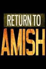 Watch Return to Amish Megavideo