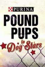 Watch Purina Pound Pups To Dog Stars Megavideo