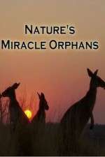 Watch Nature's Miracle Orphans Megavideo