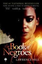 Watch The Book of Negroes Megavideo