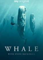 Watch Whale with Steve Backshall Megavideo