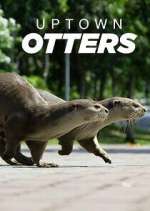 Watch Uptown Otters Megavideo