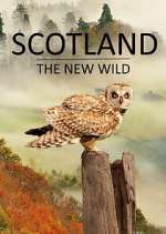 Watch Scotland - The New Wild Megavideo