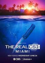 Watch The Real CSI: Miami Megavideo