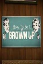 Watch How to be a Grown Up Megavideo