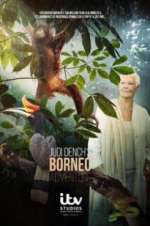 Watch Judi Dench\'s Wild Borneo Adventure Megavideo