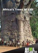 Watch Africa's Trees of Life Megavideo